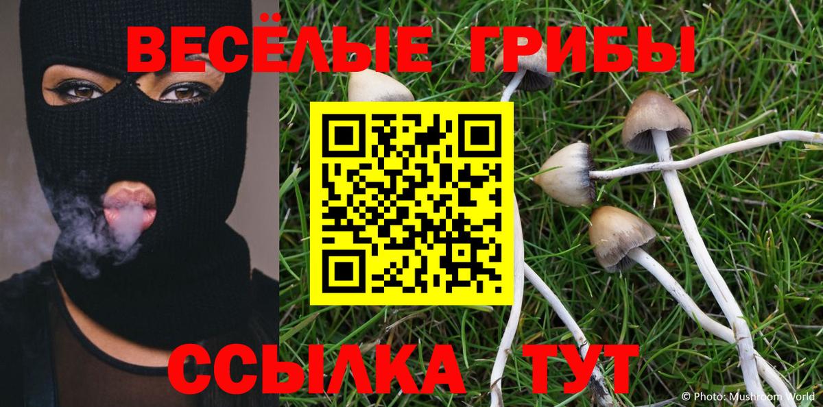 Галлюциногенные грибы MAGIC MUSHROOMS Евпатория