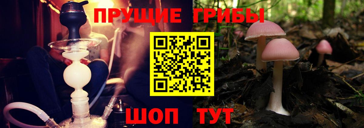 Евпатория  Псилоцибиновые грибы Psilocybe  Вход с VPN 